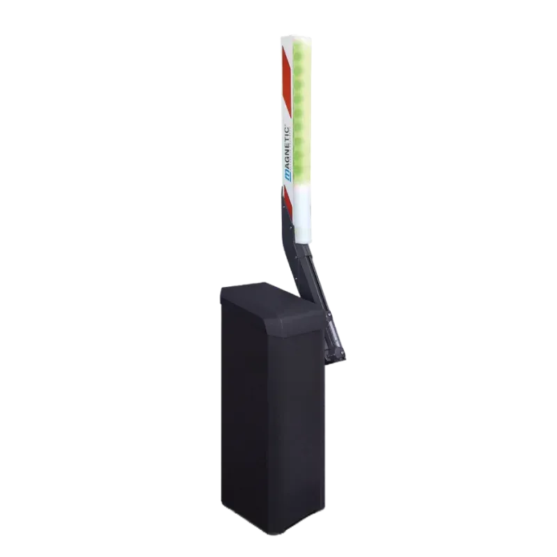 Magnetic Parking Pro